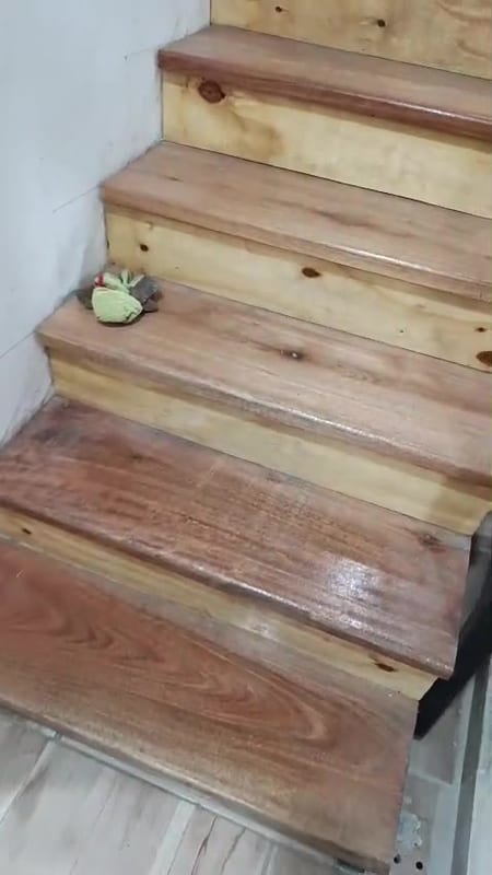 Escaleras interiores — video, trabajo de Todo Herrería